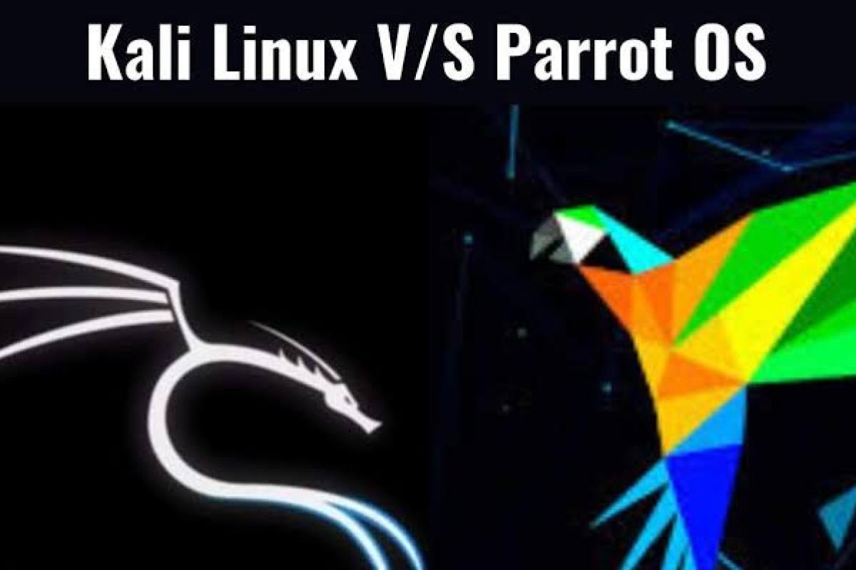 Parrot OS vs. Kali Linux: Why the "Underdog" is Winning in 2026